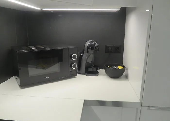 Maxi 公寓 波兹南